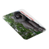 ニヤニ王が休む。NYC – フォトマグネット マグネット (右側)