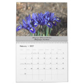 ニューのまわりにメキシコ カレンダー (2月 2027)