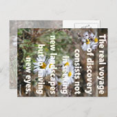 ニューアイズ ポストカード (正面/裏面)