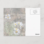 ニューアイズ ポストカード (裏面)