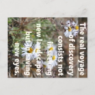 ニューアイズ ポストカード