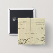 ニューアイルランド 缶バッジ (正面&裏面)