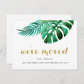 ニューアドレストロピカルパームズムービング 案内ポストカード (正面/裏面)