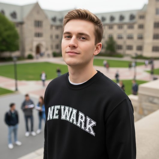ニューアーク大学スタイルのセーター アメリカの大学 スウェットシャツ