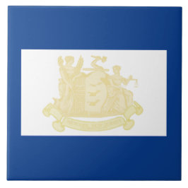 ニューアーク(ニュージャージー州)市旗 タイル