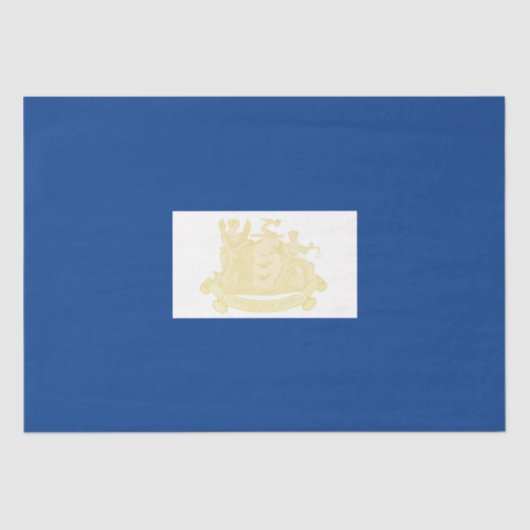 ニューアーク（ニュージャージー州）市旗 薄葉紙 (正面)