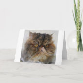 ニューイヤーの抱負 カリコペルシャ猫 カード (裏面)