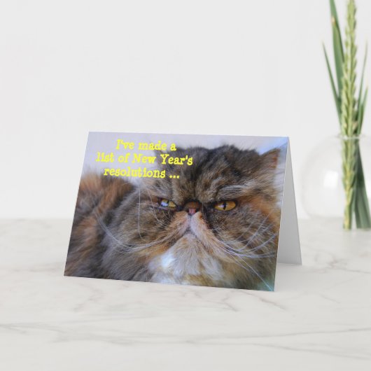 ニューイヤーの抱負 カリコペルシャ猫 カード (正面)