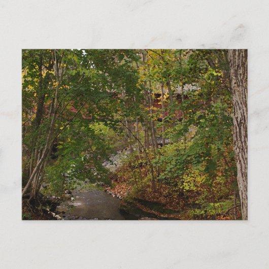 ニューイングランドのカバーブリッジ ポストカード (正面)