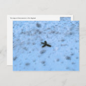 ニューイングランドのクリスマス シーズンポストカード (正面/裏面)