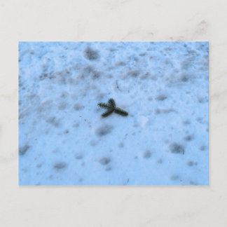 ニューイングランドのクリスマス シーズンポストカード