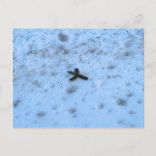 ニューイングランドのクリスマス シーズンポストカード (正面)