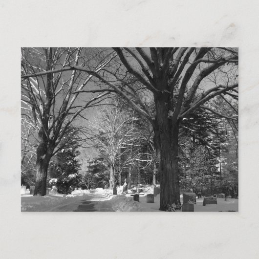ニューイングランドの冬 ポストカード (正面)