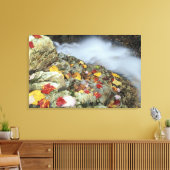 ニューイングランドの北米、米国、NH、秋。 キャンバスプリント (インサイチュ (リビング))