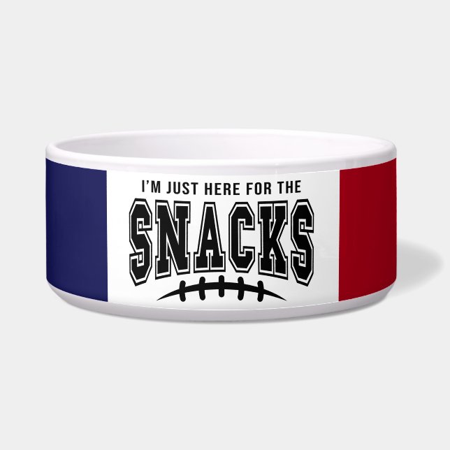 ニューイングランドの愛国者は、ここでスナックのペットのために ボウル (正面)