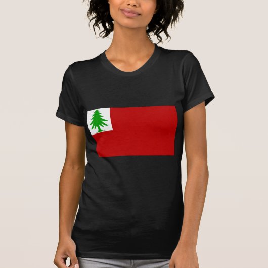 ニューイングランドの旗 Tシャツ (正面)