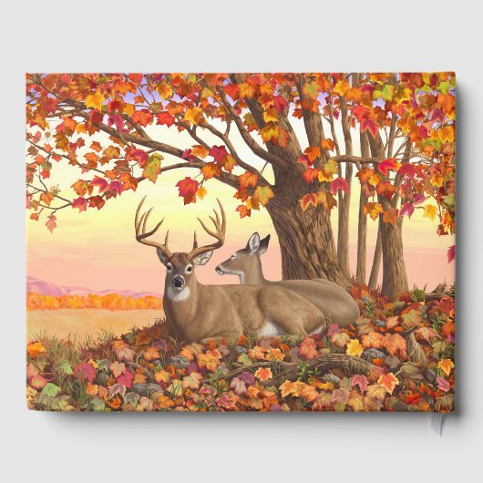 ニューイングランドの秋にホワイトテールディアー紅葉 ゲストブック (裏面)