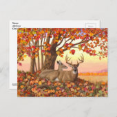 ニューイングランドの秋にホワイトテールディアー紅葉 ポストカード (正面/裏面)