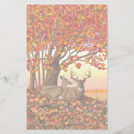 ニューイングランドの秋にホワイトテールディアー紅葉 便箋 (裏面)