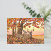 ニューイングランドの秋にホワイトテールディアー紅葉 招待状 (スタンド正面)