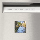 ニューイングランドの秋47 ～磁石 マグネット (インサイチュ (食洗機))