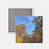 ニューイングランドの秋 マグネット (正面/裏面)