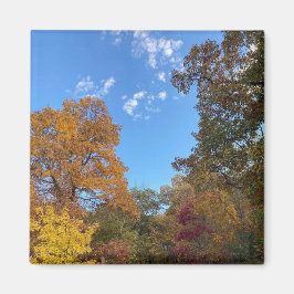 ニューイングランドの秋 マグネット