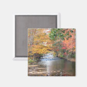 ニューイングランドの秋 マグネット (正面/裏面)