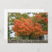 ニューイングランドの紅葉 ポストカード (正面/裏面)