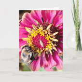 ニューイングランドの花の写真を使った無地のグリーティングカード カード (正面)