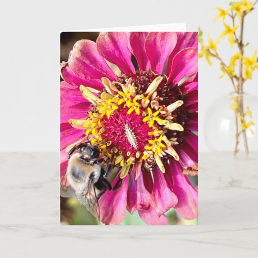 ニューイングランドの花の写真を使った無地のグリーティングカード カード