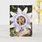 ニューイングランドの花の写真を使った無地のグリーティングカード カード (黄色い花)