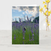 ニューイングランドの花の写真を使った無地のグリーティングカード カード (黄色い花)