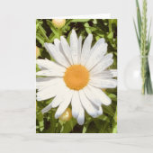 ニューイングランドの花の写真を使った無地のグリーティングカード カード (正面)