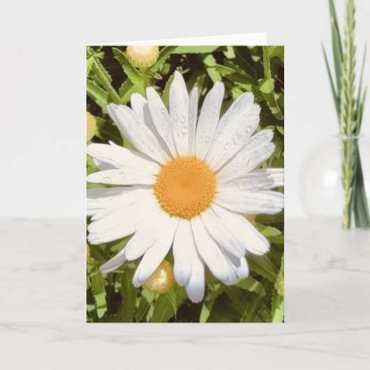 ニューイングランドの花の写真を使った無地のグリーティングカード カード (正面)