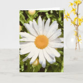 ニューイングランドの花の写真を使った無地のグリーティングカード カード (黄色い花)