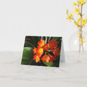 ニューイングランドの花のnotecardのコレクション カード (黄色い花)