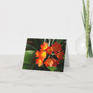 ニューイングランドの花のnotecardのコレクション カード
