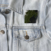 ニューイングランドの衛星ビュー 缶バッジ (インサイチュ)