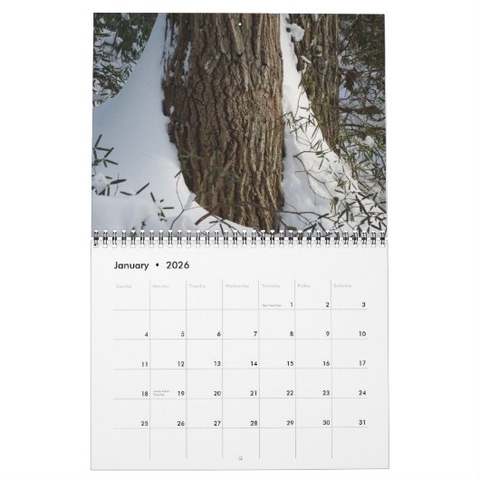 ニューイングランドの野生花の社会からの2012カレンダー カレンダー (1月 2026)