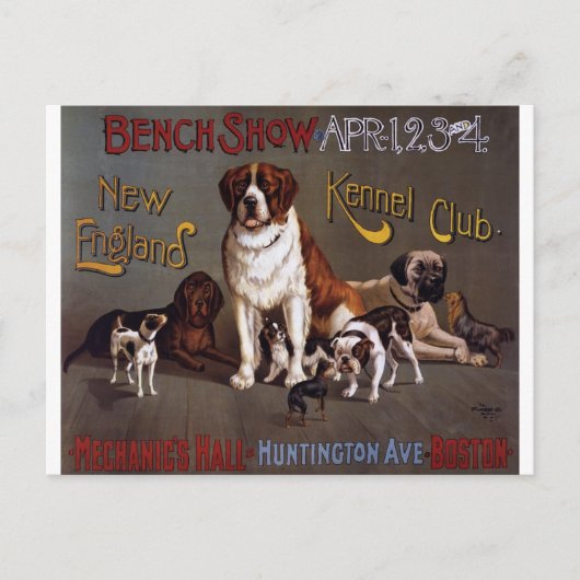 ニューイングランドヴィンテージドッグショーはがき ポストカード (正面)