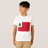 ニューイングランド国旗 Tシャツ (正面フル)