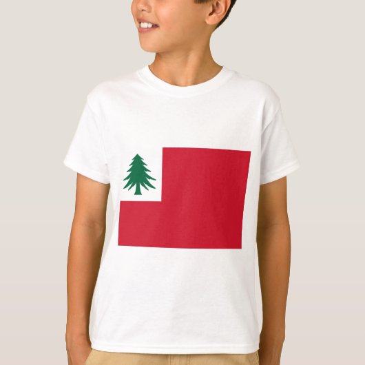 ニューイングランド国旗 Tシャツ (正面)