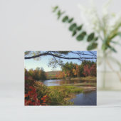 ニューイングランド秋ポンドはがき ポストカード (スタンド正面)