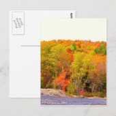 ニューイングランド秋118 ポストカード (正面/裏面)