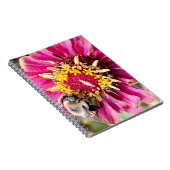 ニューイングランド花写真 ノートブック (右側)