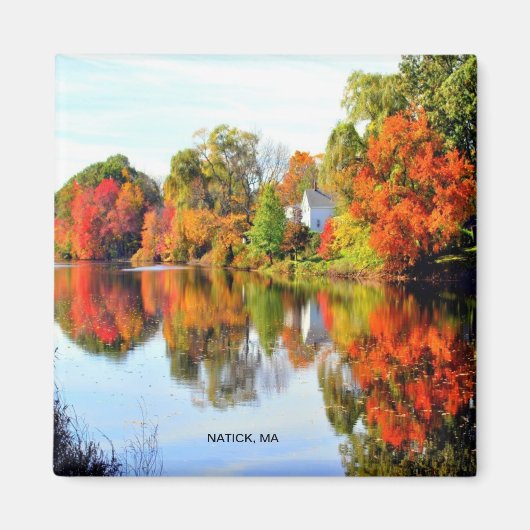 ニューイングランド マグネット (正面)