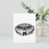 ニューイングランド・ロックカニI ポストカード (スタンド正面)