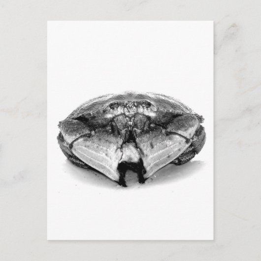 ニューイングランド・ロックカニI ポストカード (正面)