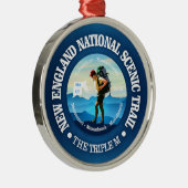ニューイングランドNST(C) メタルオーナメント (右)